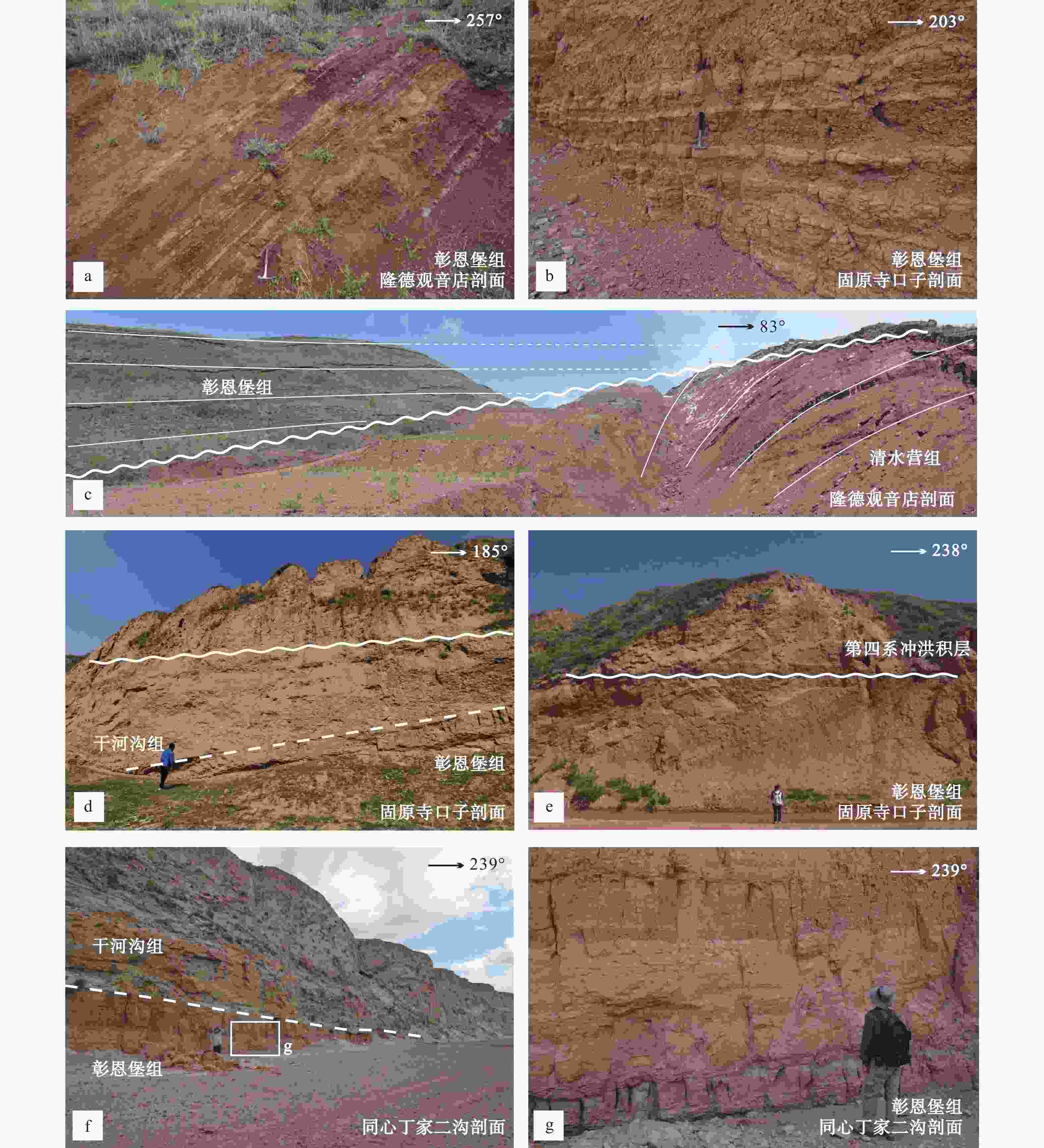 青藏高原东北缘弧形构造带新生代地层沉积序列及年代学研究进展