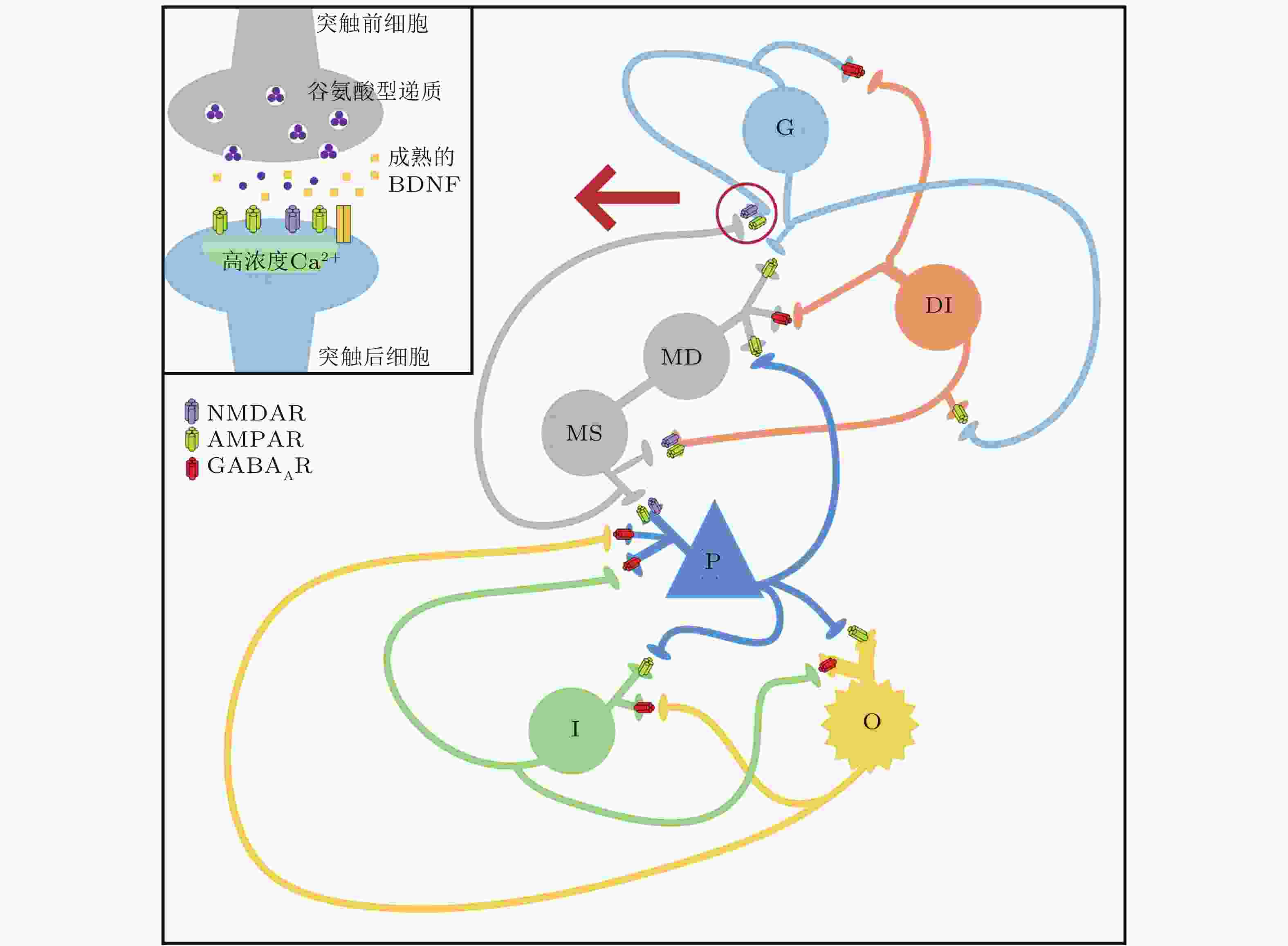 神经系统疾病与认知动力学(I) : 癫痫发作的动力学与控制
