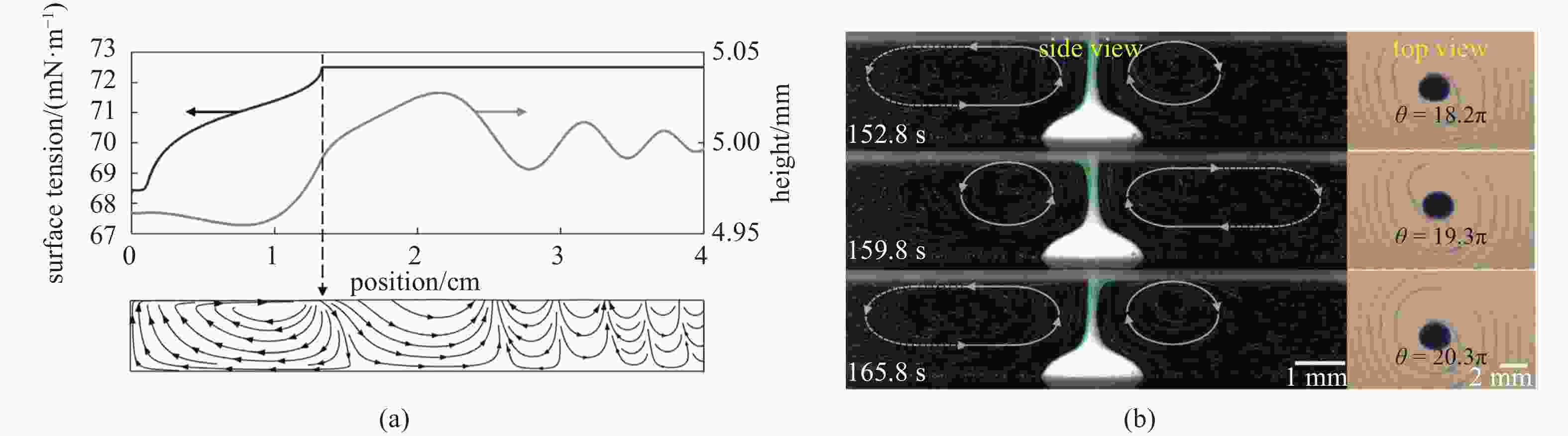 REVIEW OF SOLUTAL MARANGONI SPREADING ON FREE SURFACE