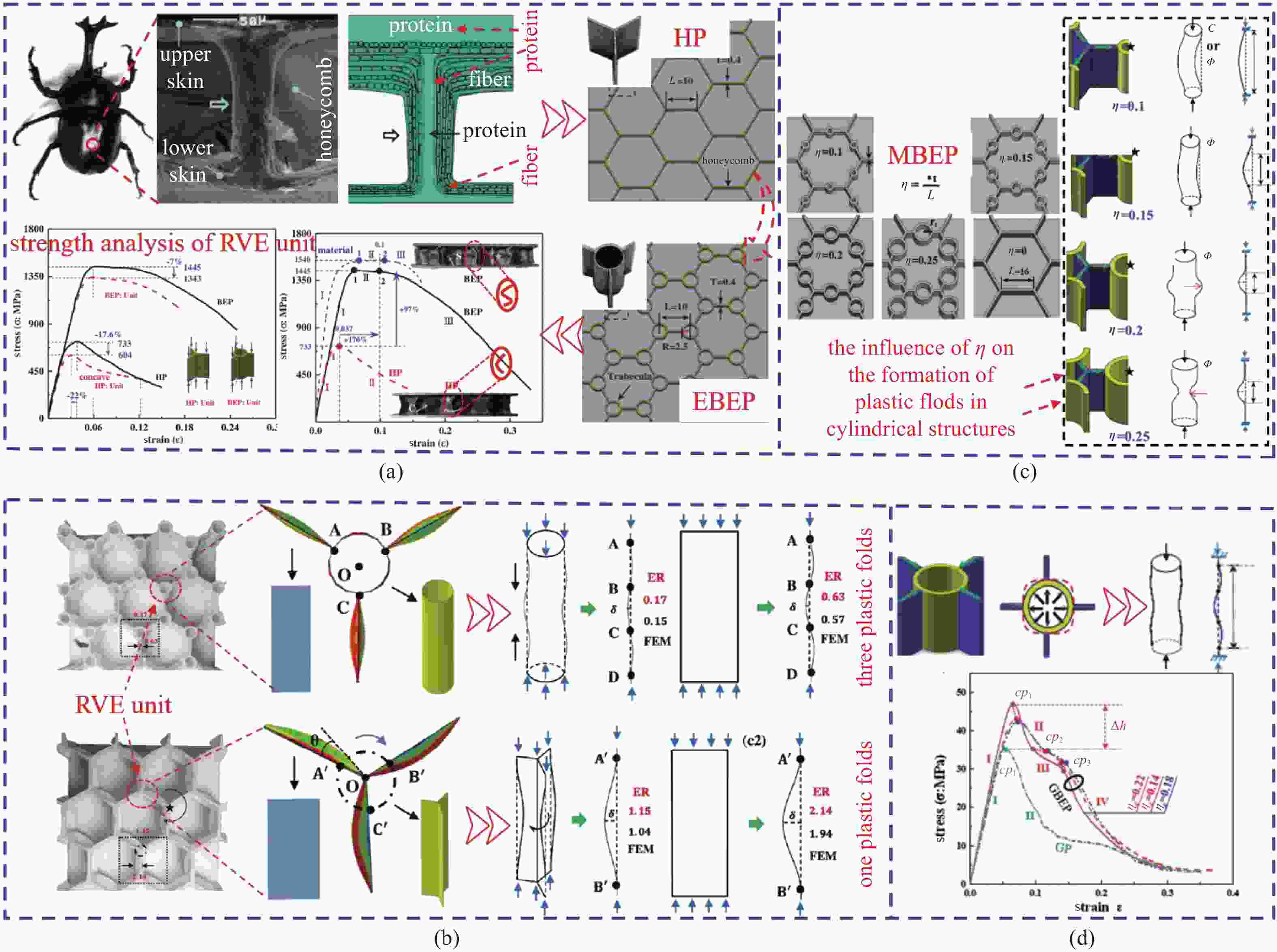 STUDY PROGRESS ON BIONIC STRATEGIES AND LOAD-BEARING AND ENERGY