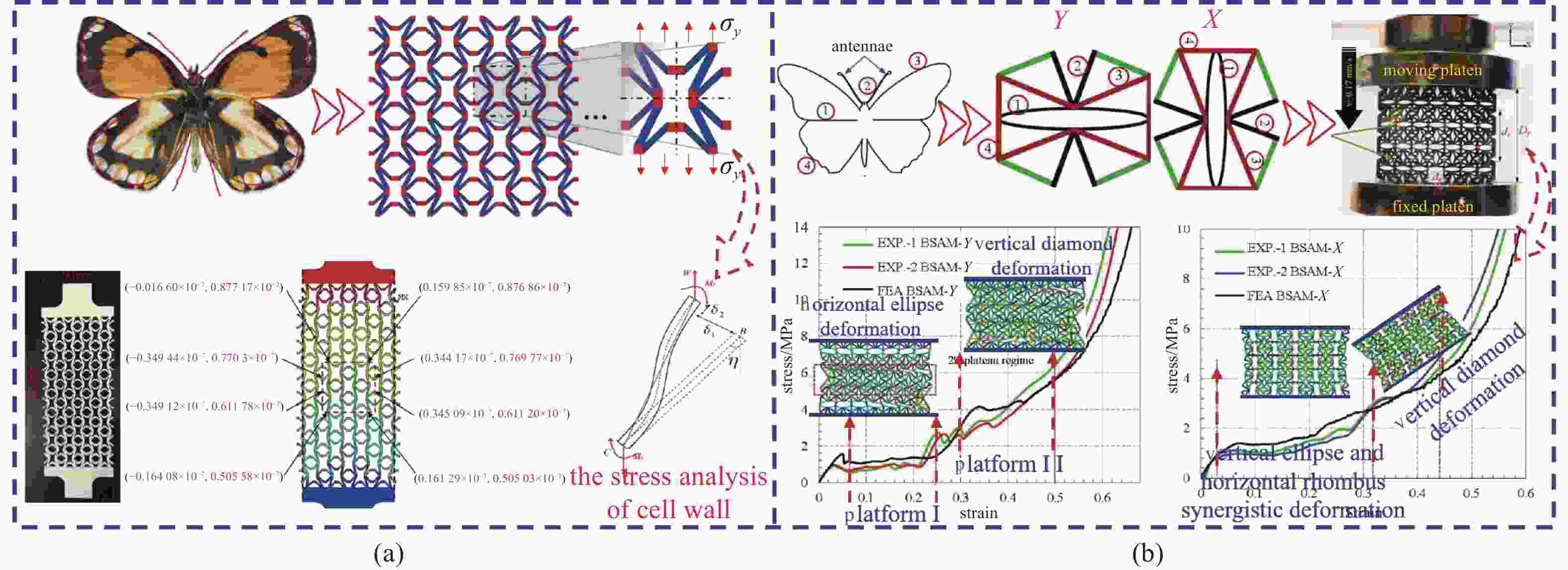 STUDY PROGRESS ON BIONIC STRATEGIES AND LOAD-BEARING AND ENERGY