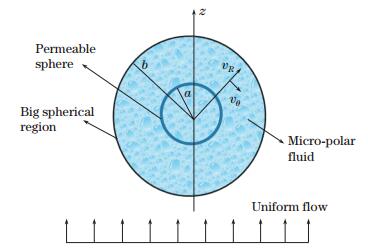 Shell Permeability Cell Motion of a permeable shell in a spherical container filled with non ...