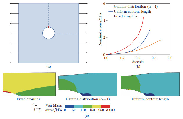Tuning mechanical behaviors of highly entangled hydrogels with the ...