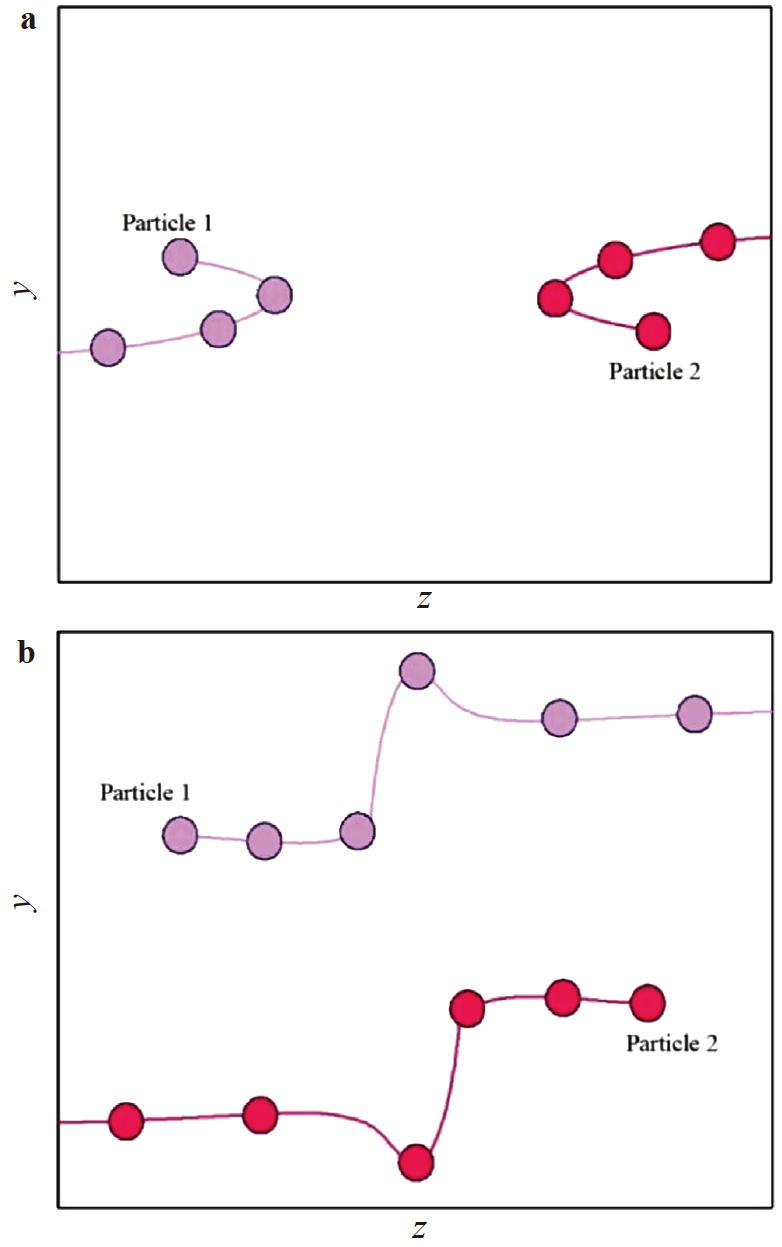 On the some issues of particle motion in the flow of viscoelastic fluids