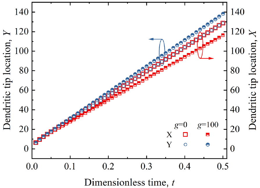 Phase field simulation of solidification under supergravity