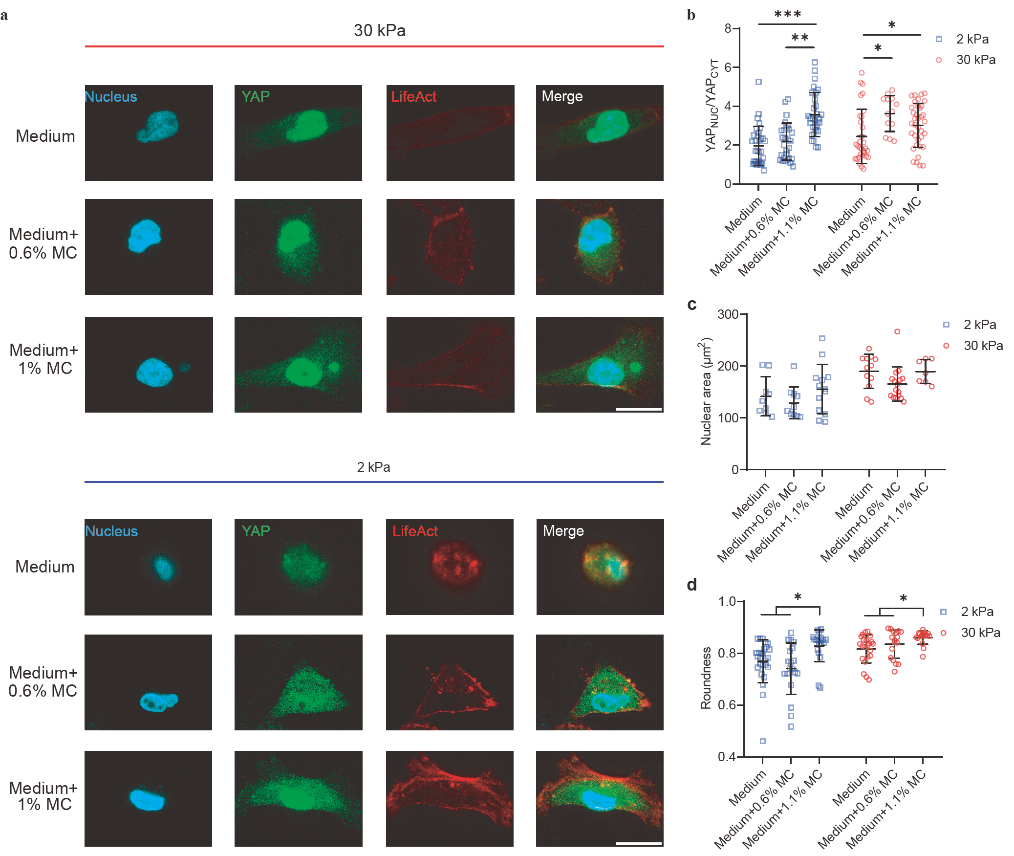 Enhancement effects of extracellular fluid viscosity and matrix ...