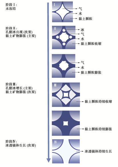 季节冻土区非饱和膨胀土水–热–变形耦合冻胀模型