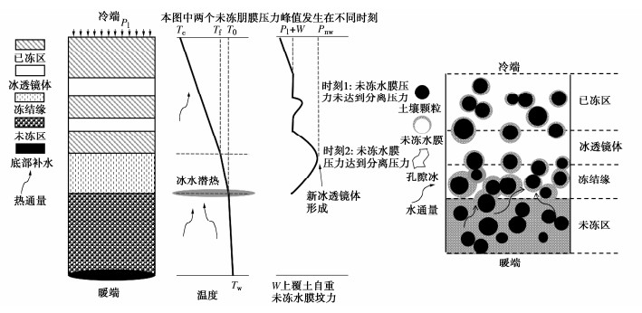 基于未冻水膜压力判据的冻土水热力耦合冻胀模型研究