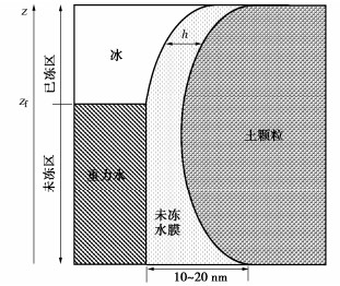 基于未冻水膜压力判据的冻土水热力耦合冻胀模型研究