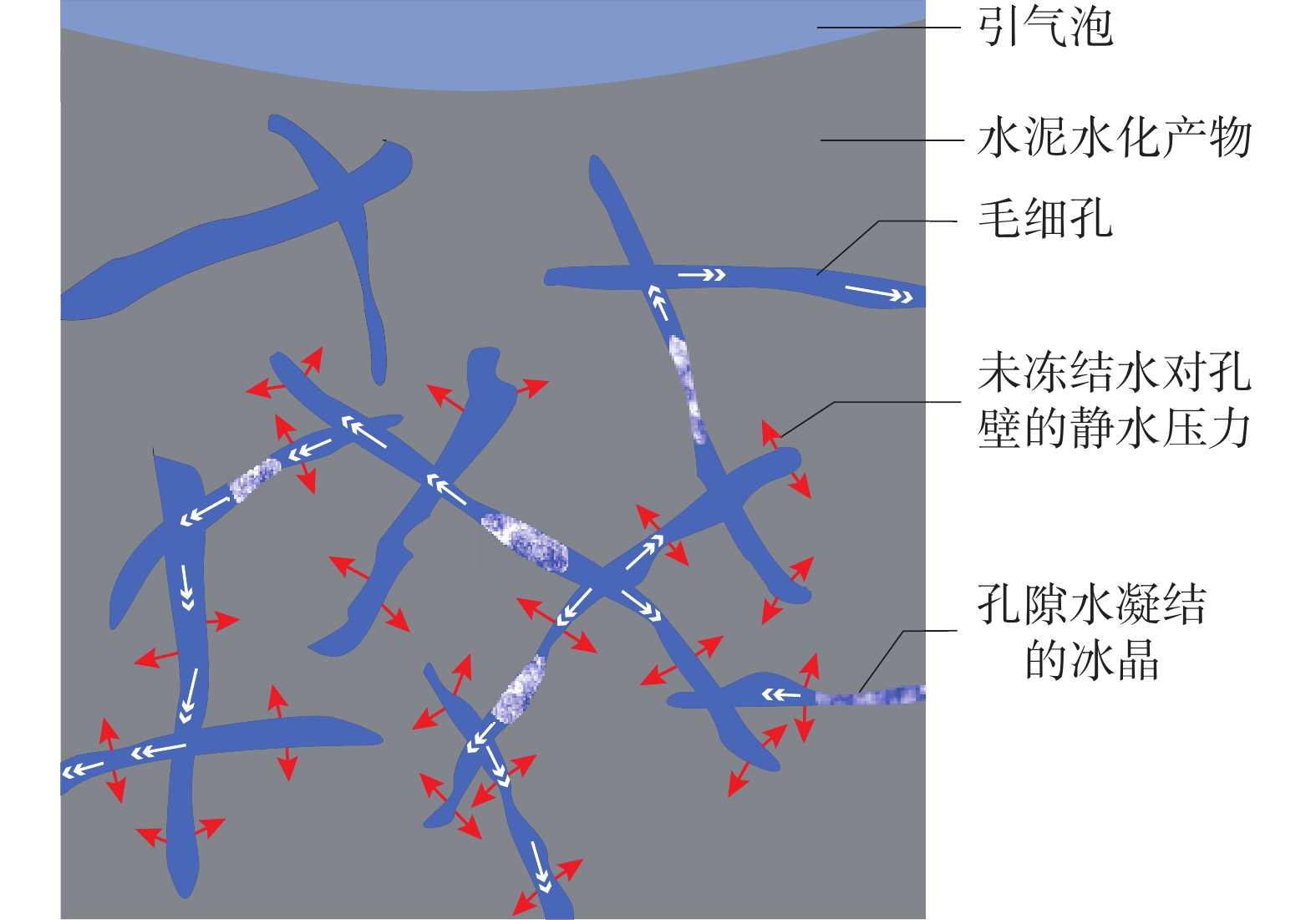 基于静水压理论的混凝土冻融破坏演化模型