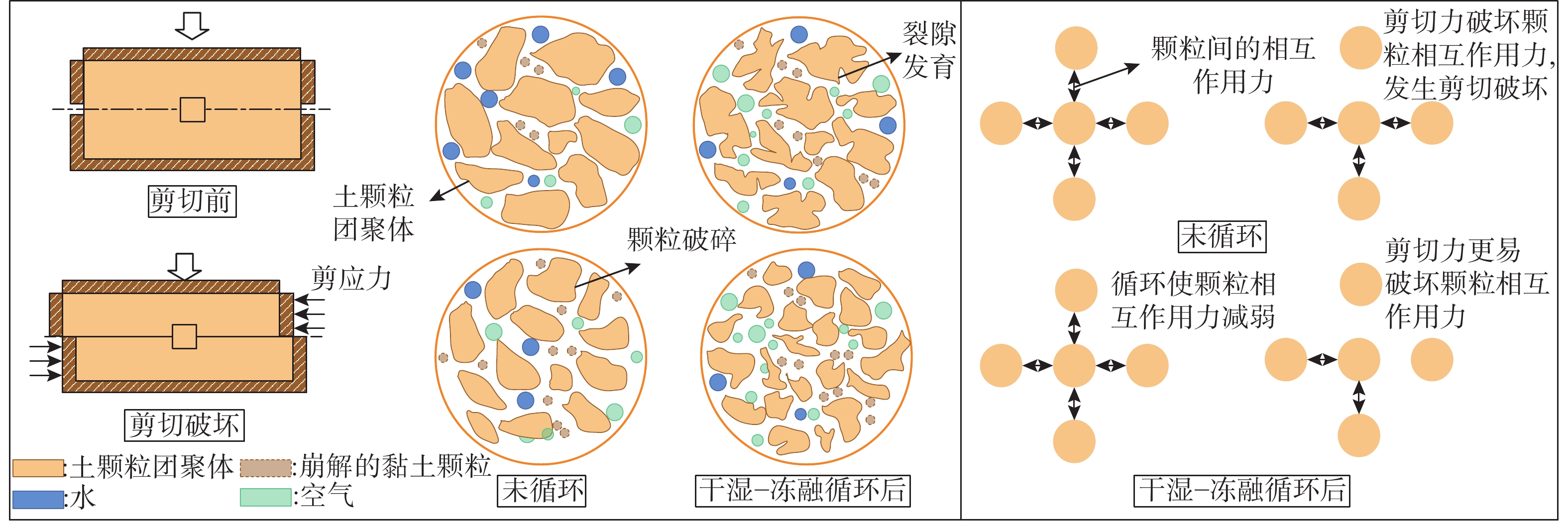 干湿-冻融循环条件下膨胀土剪切特性的劣化机制研究