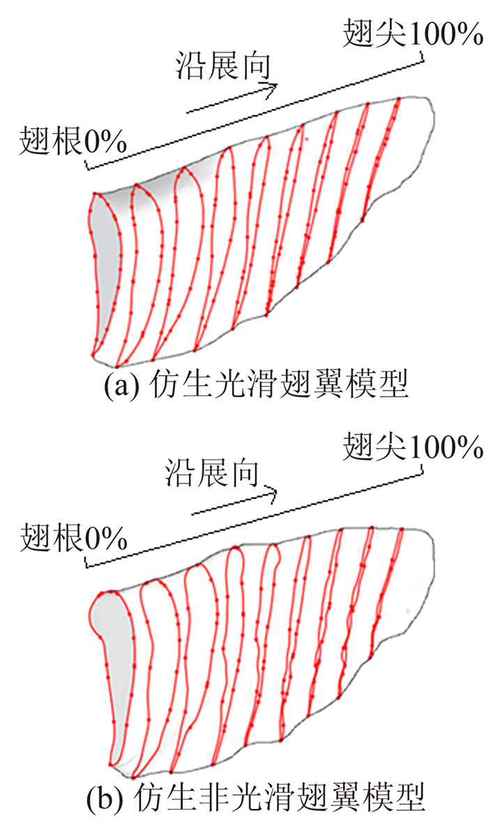 鸟翼表面非光滑结构流动控制机理研究
