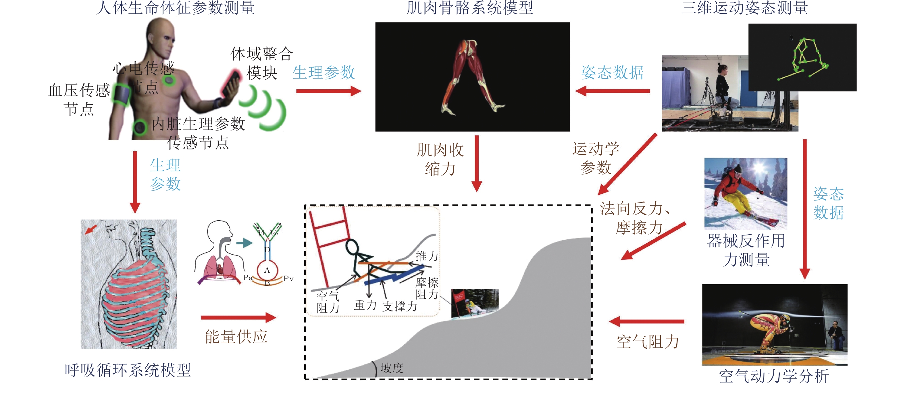 运动生物力学发展现状及挑战