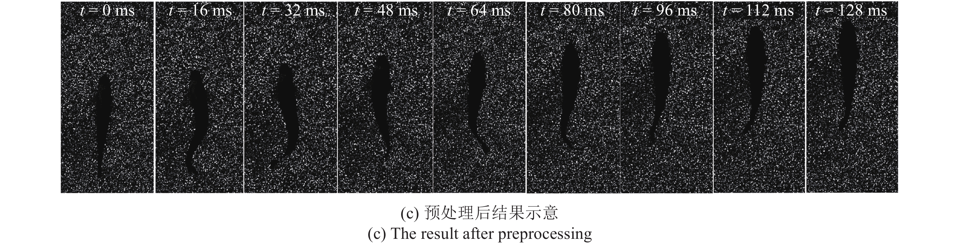 Zebrafish Track EXPERIMENTAL STUDY OF ZEBRAFISH SWIMMING WITH LINEAR ACCELERATION