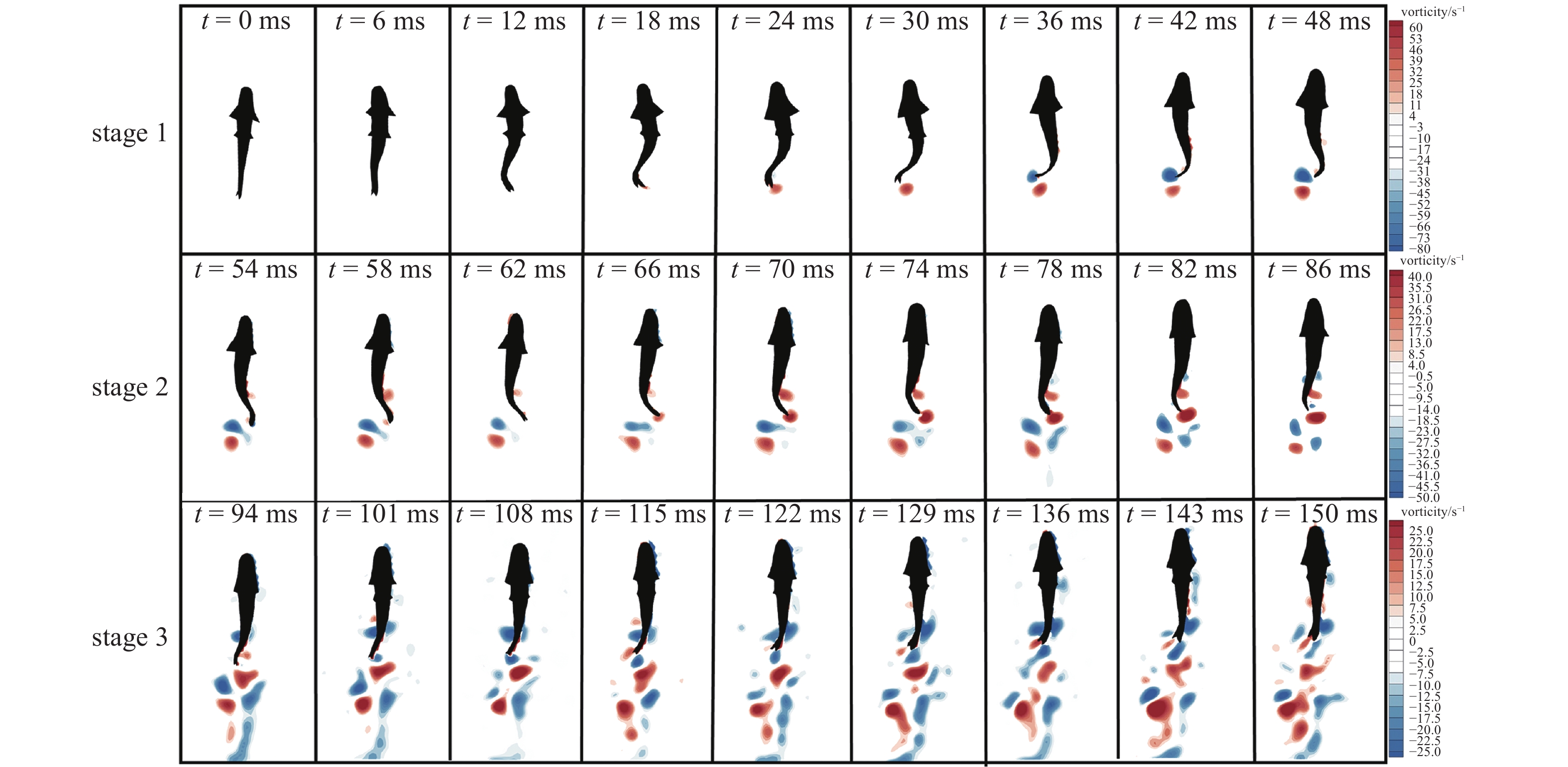 Zebrafish Track EXPERIMENTAL STUDY OF ZEBRAFISH SWIMMING WITH LINEAR ACCELERATION