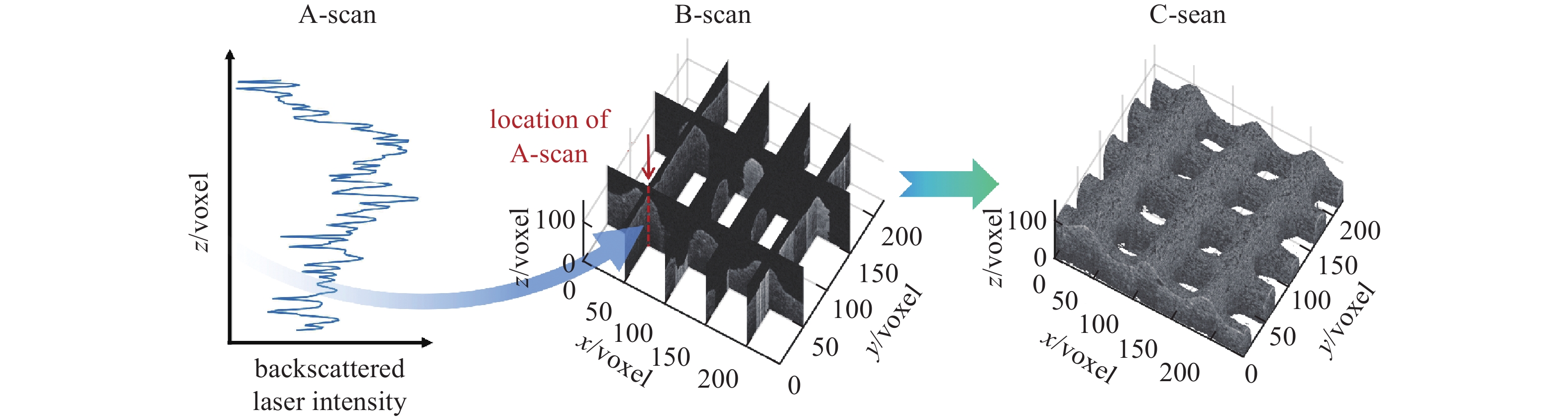 RESEARCH ON MEASUREMENT METHOD FOR INTERNAL DEFORMATION OF POROUS ...