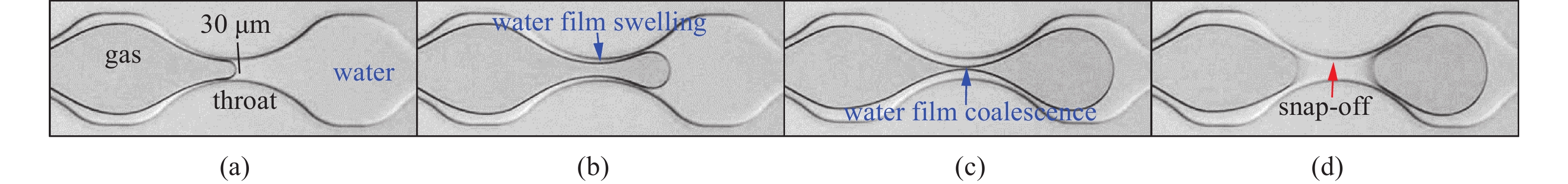VISUALIZATION STUDY ON THE EVOLUTION OF GAS-WATER INTERFACE AT PORE ...