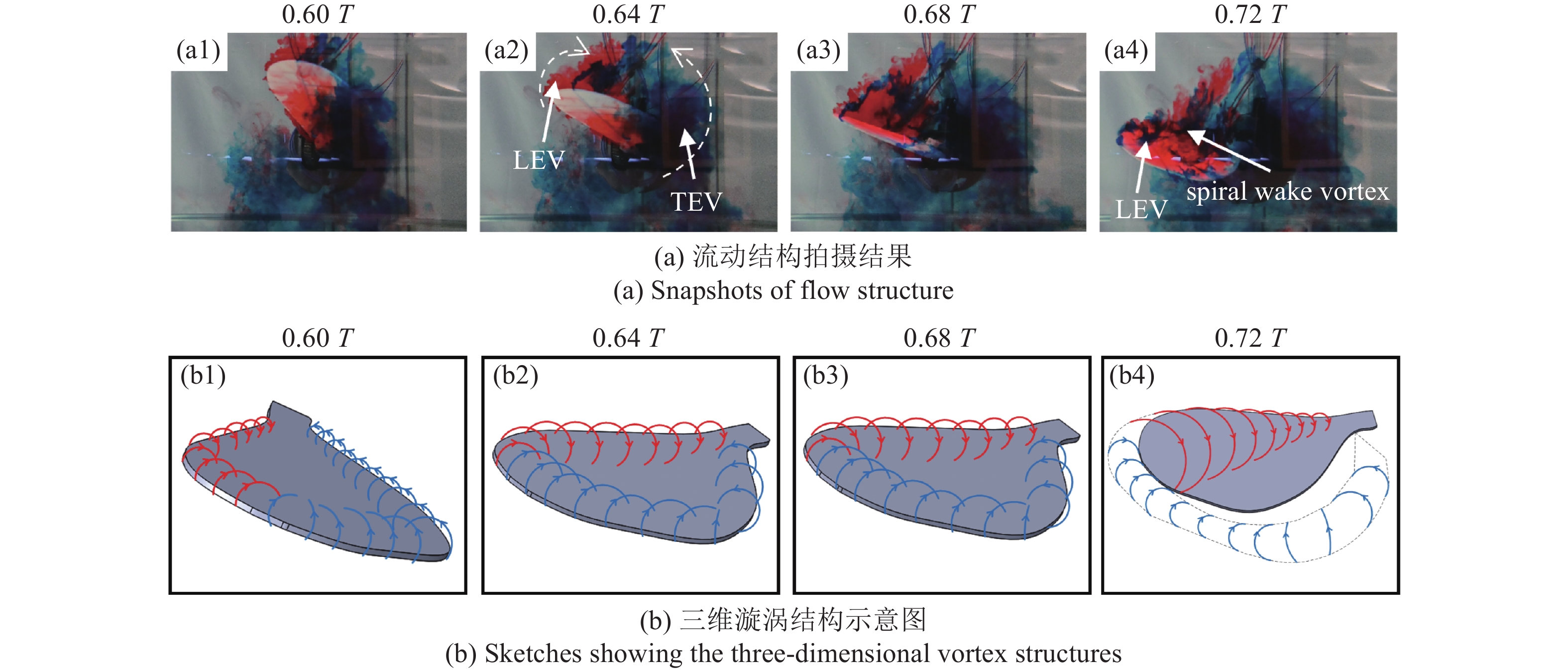 Flapping Insect Cfd A STUDY ON THE AERODYNAMIC CHARACTERISTICS OF VERY SMALL INSECTS WING ...