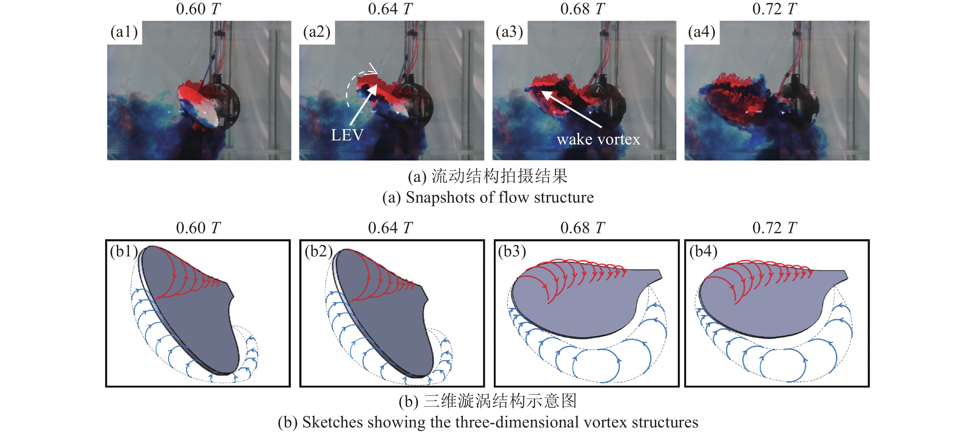 Flapping Insect Cfd A STUDY ON THE AERODYNAMIC CHARACTERISTICS OF VERY SMALL INSECTS WING ...