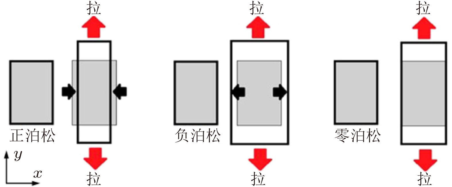 关于负泊松比的材料力学课程教学拓展与探索