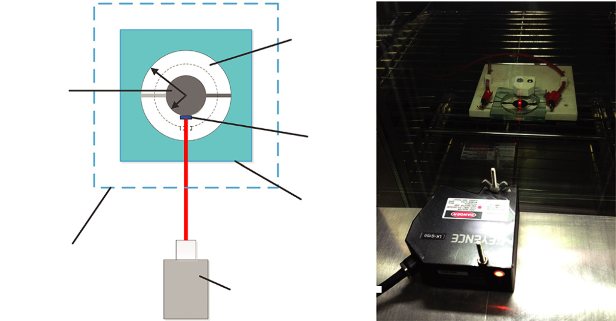 Experimental investigation on electromechanical deformation of ...
