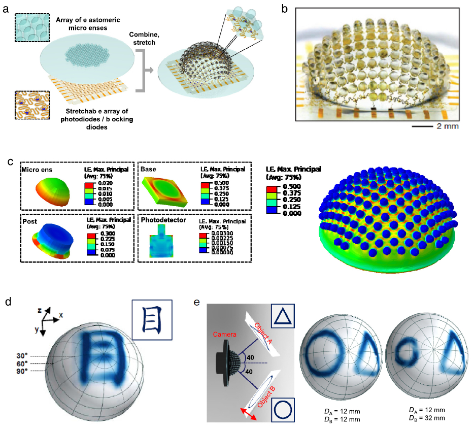 Mechanics of bioinspired imaging systems