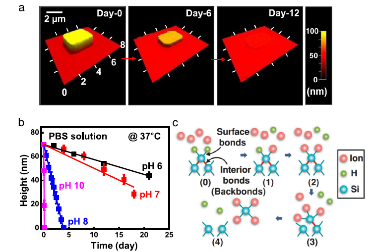 Recent development of transient electronics